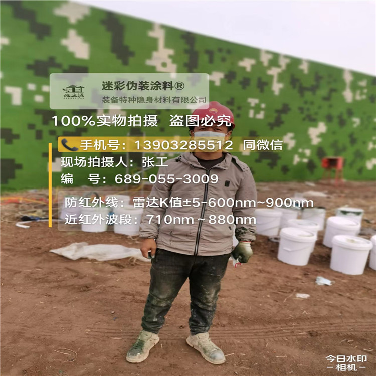 铁门关​包括外墙、护坡、水泥地面建筑物的迷彩喷涂